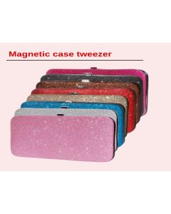 Magnetic case of tweezer