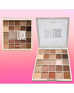 25 COLORS EYESHADOW PALETTE 5