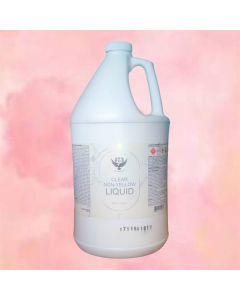 LJ SECRET MONOMER LIQUID CLEAR 1GAL