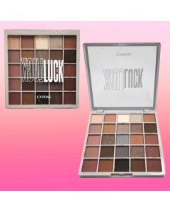 25 COLORS EYESHADOW PALETTE 3