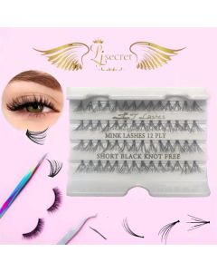 LJ LASHES 12PLY SINGLE SHORT