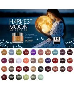 SNS HM COLLECTION POWDER 1OZ